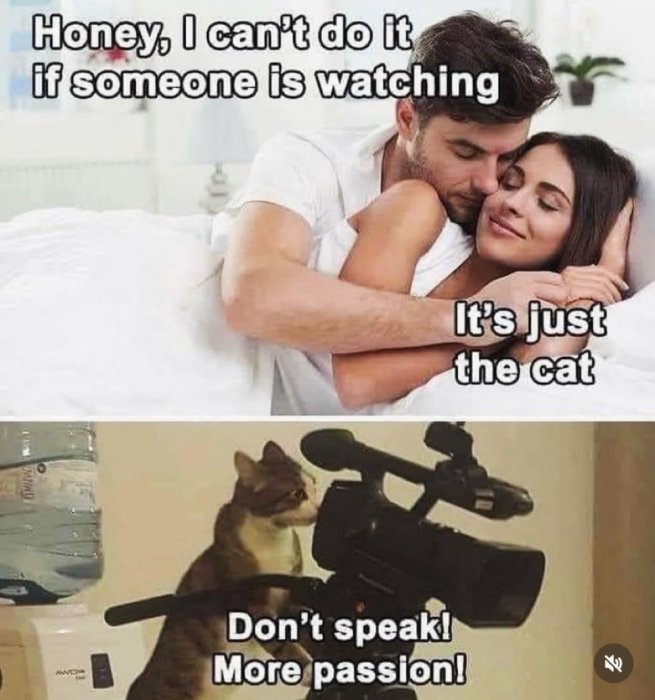 1000000954.jpg