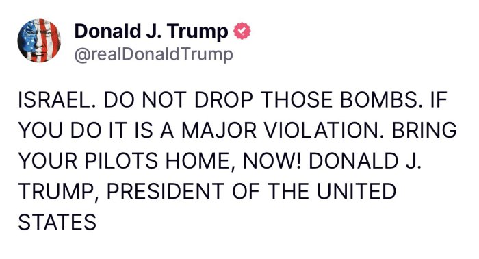 1000008771.jpg