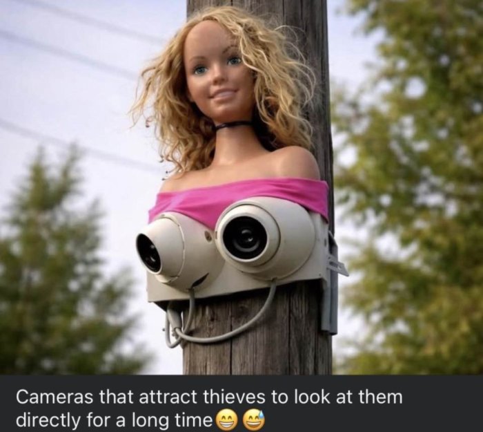 1000008880.jpg