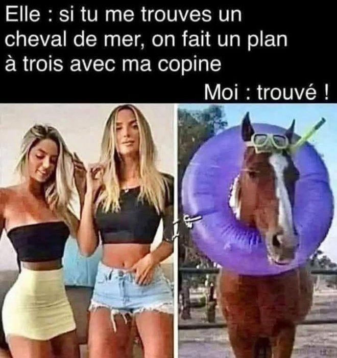 1000015385.jpg