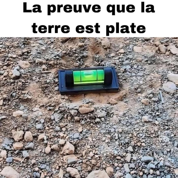 1000016710.jpg