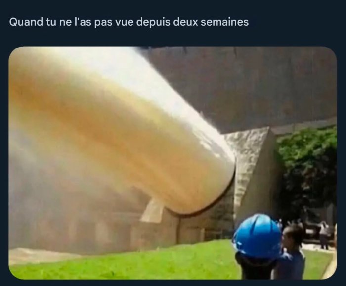 1000018194.jpg