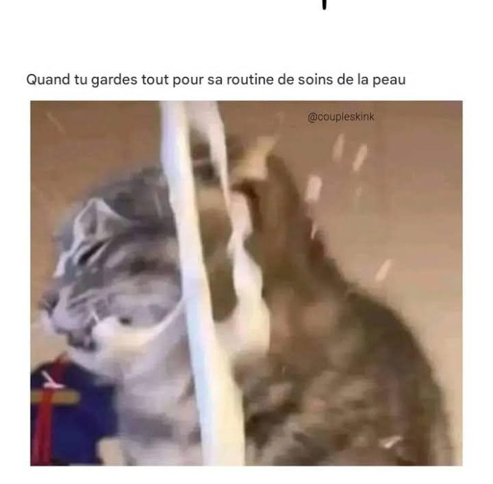 1000018195.jpg