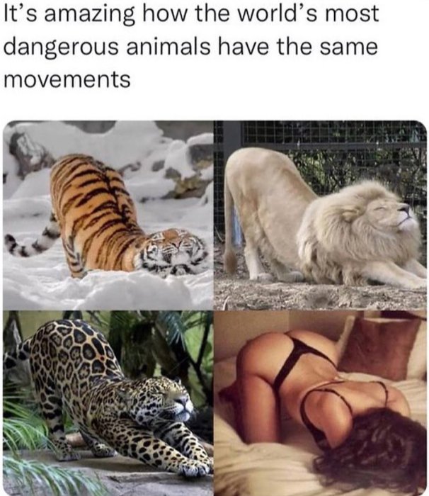 1000022552.jpg