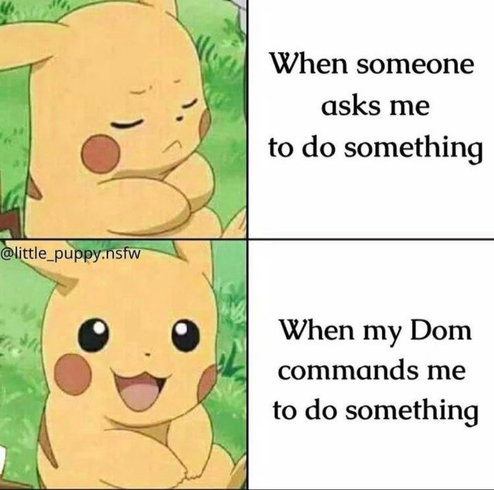 1000024979.jpg