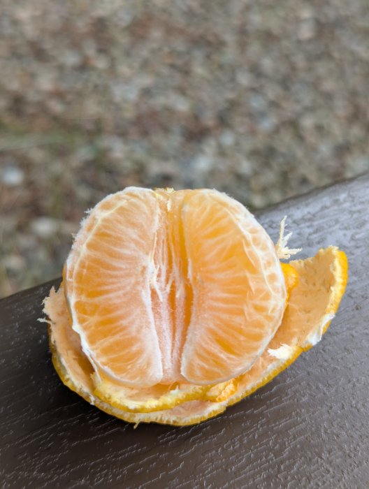 1000202803.jpg