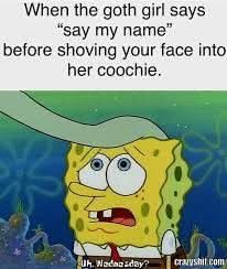 1000206223.jpg