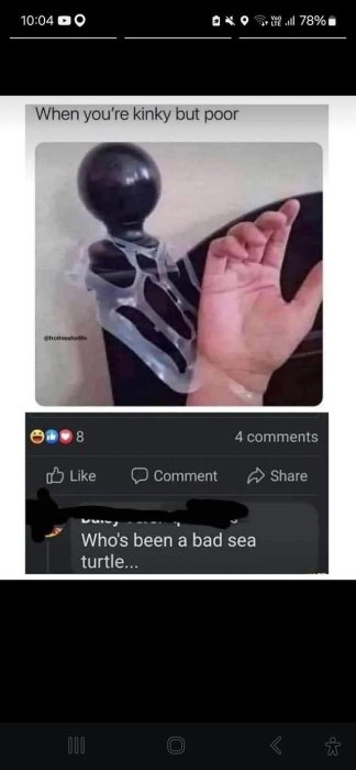 1000206325.jpg