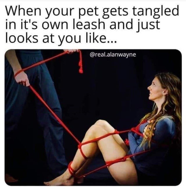 1000206538.jpg