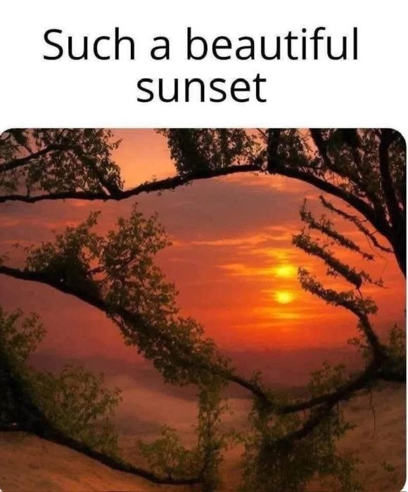 1000208959.jpg