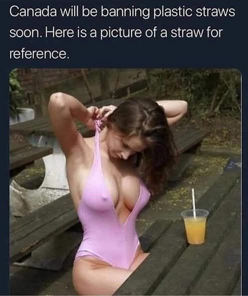 1000208969.jpg