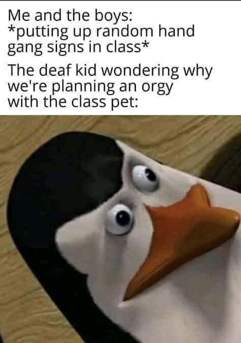1000209072.jpg