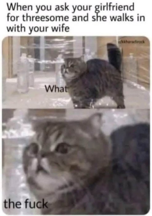 1000211565.jpg