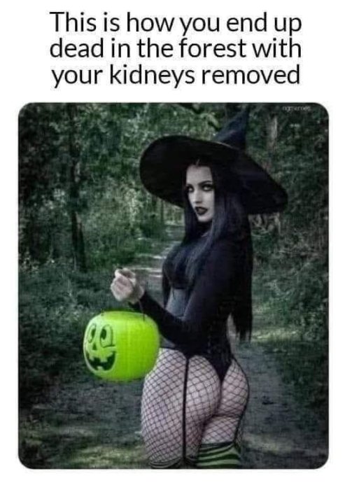1000211630.jpg