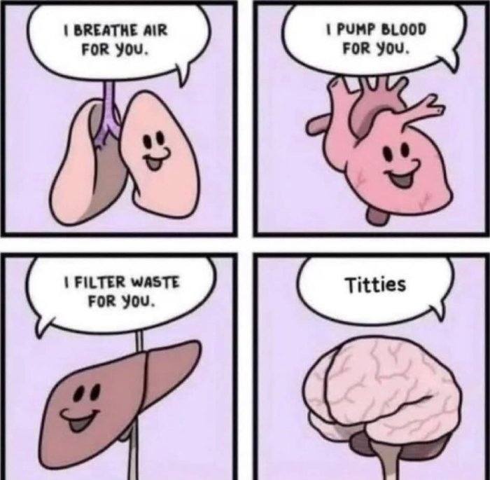 1000213848.jpg