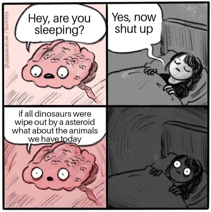 1000214177.jpg