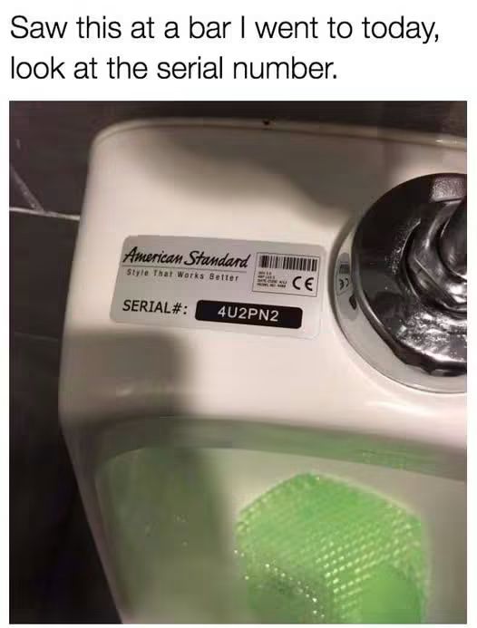 17352.jpg