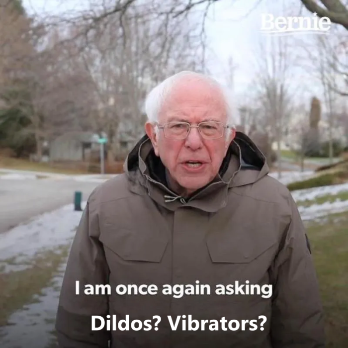bernie-i-am-once-again-asking-for-your-support-meme-template-full-729f98d7.png