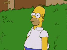 hide-the-simpsons.gif